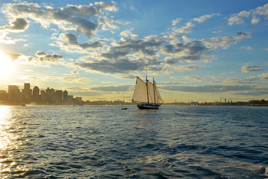 A Sloop Sailing Boston Harbor, Boston Skyline, Tall Ship, Boston