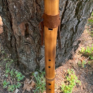 May include: A handcrafted bamboo flute with a warm, natural finish. The instrument features a leather wrap and decorative accents. The flute has several finger holes and a mouthpiece. The background includes a tree trunk and foliage.