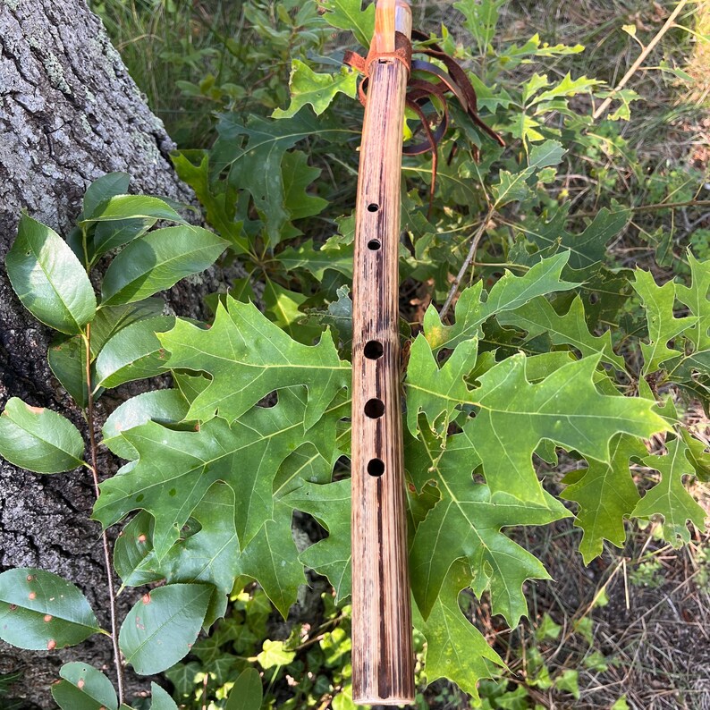 G Minor Wild Flute- Japanese Knotweed Wild Crafted - Etsy