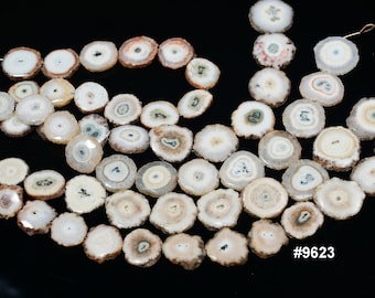 10 Inch Natural Solar Quartz/Stalactites Smooth Beads Strand (S-02)