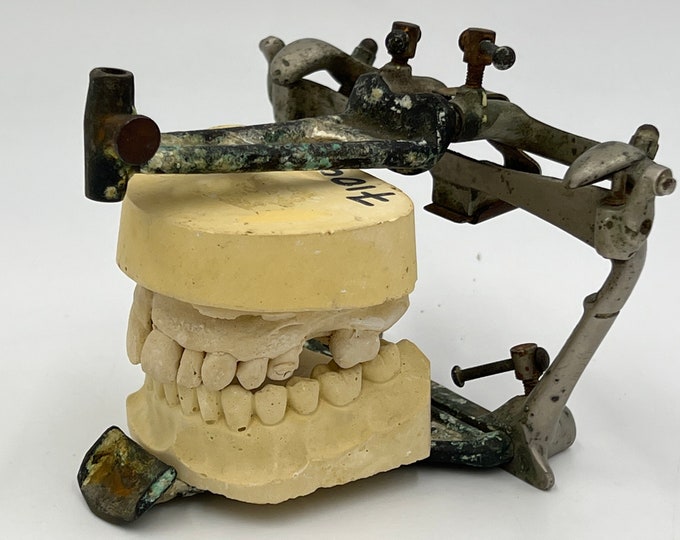 Antique Dental Articulator With Plaster Teeth Antique Dental Etsy
