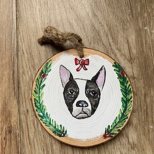 Hand Painted Custom Animal Portrait Christmas Ornament