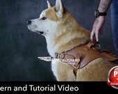 Leather Dog Harness Pattern: DIY with Pocket, Sizes M-XL