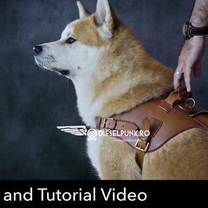 Dog Harness Pattern -Leather Harness with Pocket DIY - Pdf Download