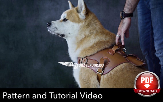 Dog Harness Pattern leather Harness With Pocket DIY Pdf Download -   Canada