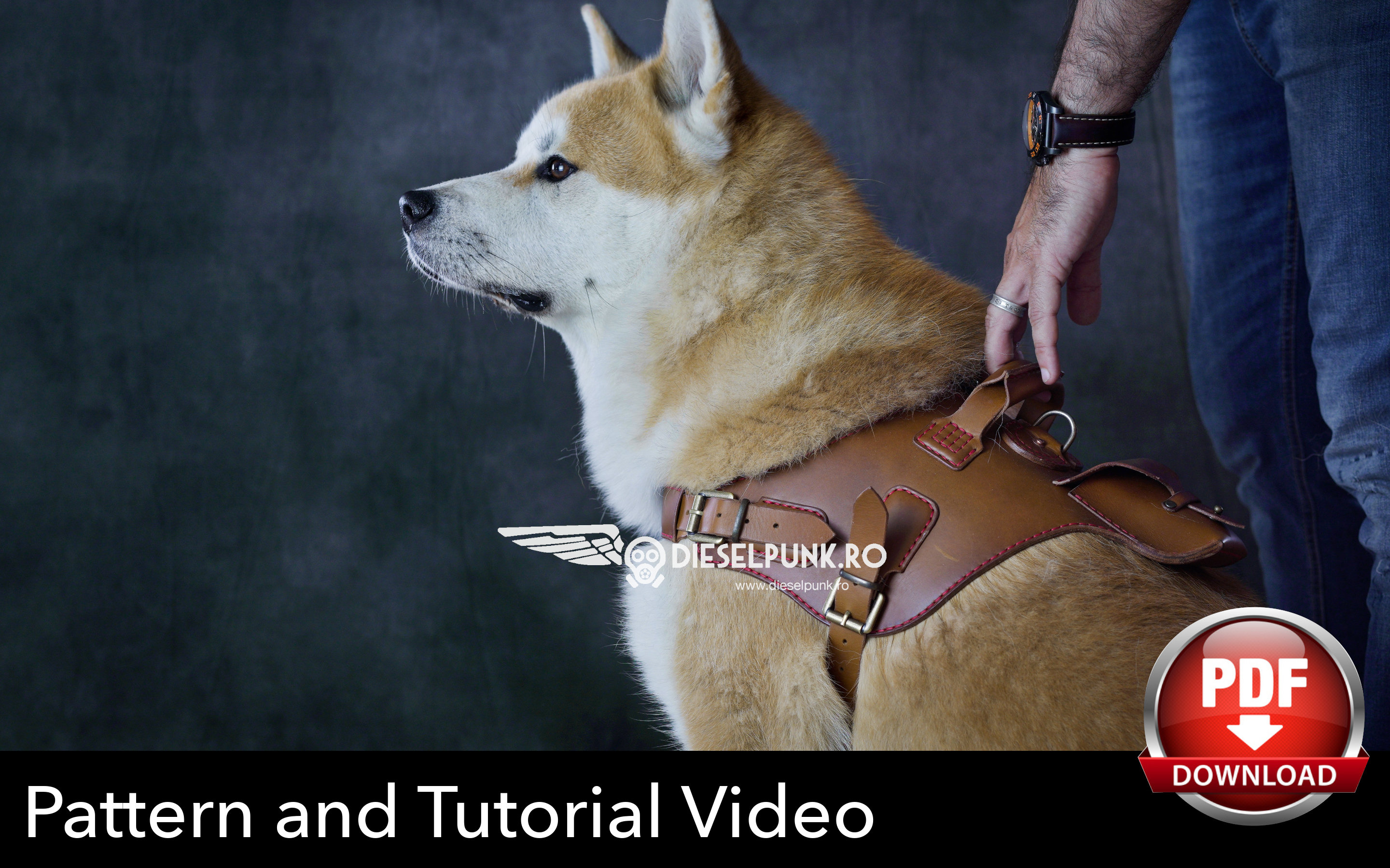 Dog Harness Pattern leather Harness With Pocket DIY Pdf Download 