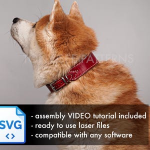Könnte beinhalten: Ein rotes Lederhalsband mit silberner Schnalle wird von einem Hund mit rotbraunem Fell getragen. Das Halsband hat ein dekoratives Nahtmuster. Das Bild enthält Text mit der Aufschrift "assembly VIDEO tutorial included, ready to use laser files, compatible with any software."