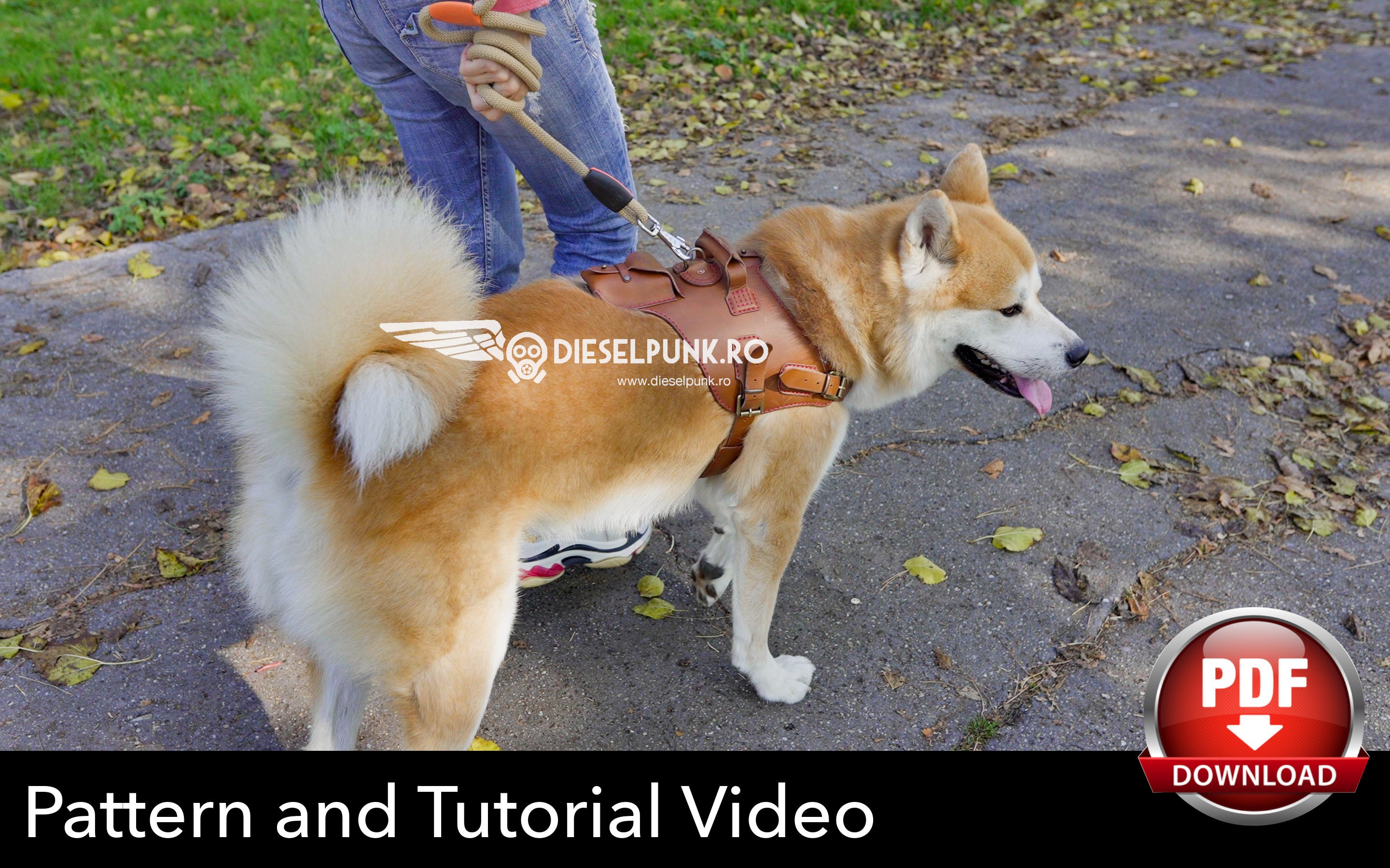 Dog Harness Pattern Dog Harness DIY Pdf Download 