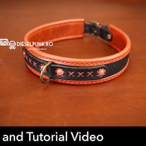 Dog Collar Pattern - Pdf Download