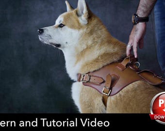 May include: A tan leather dog harness with adjustable straps, metal buckles, and a top handle, worn by a tan and white Akita dog. The image includes a red circular icon with the white text PDF DOWNLOAD and the text Pattern and Tutorial Video.