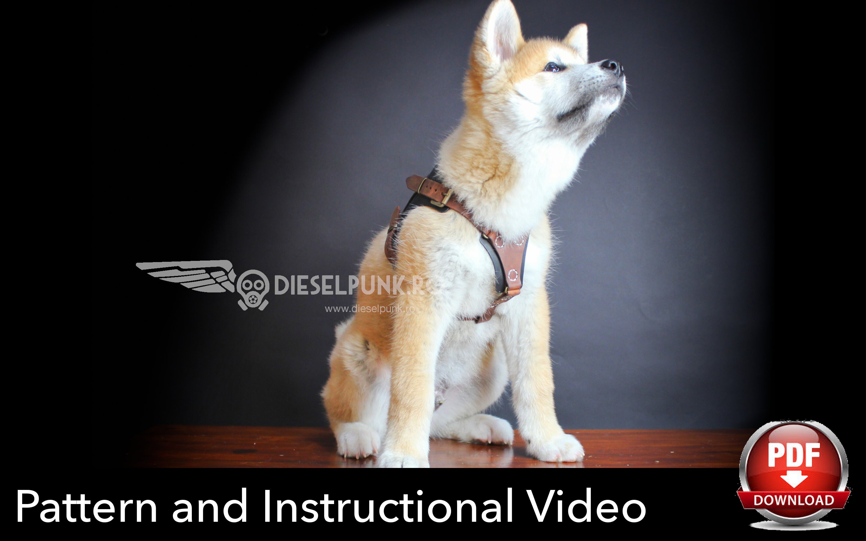 Dog Harness Pattern - Leather Harness DIY - Pdf Download – Tri Atelier  Design Studio