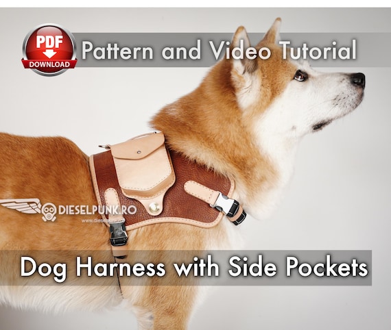 Dog Harness with Side Pockets Pattern - Pdf Download - DIY Video Tutorial
