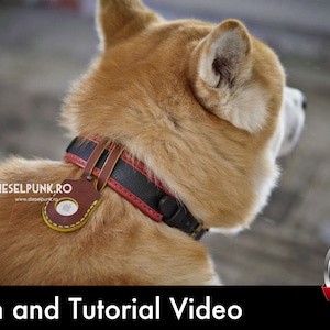 May include: A brown leather dog collar with a black leather strip and red stitching. The collar has a brown leather tag with a metal ring and the text "DIESELPUNK.RO" and "www.dieselpunk.ro".