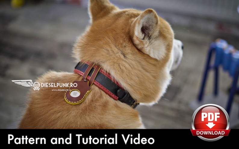 May include: A brown leather dog collar with a black leather strip and red stitching. The collar has a brown leather tag with a metal ring and the text "DIESELPUNK.RO" and "www.dieselpunk.ro".