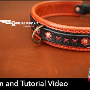 Dog Collar Pattern - Pdf Download