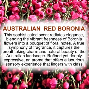 Australian Red Boronia fragrance description card with rich native floral tones.