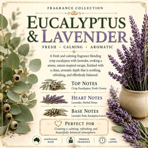 May include: A fragrance collection label titled Eucalyptus & Lavender featuring illustrations of eucalyptus branches and lavender sprigs. The text details top, heart, and base notes, describing a blend of crisp eucalyptus and lavender.