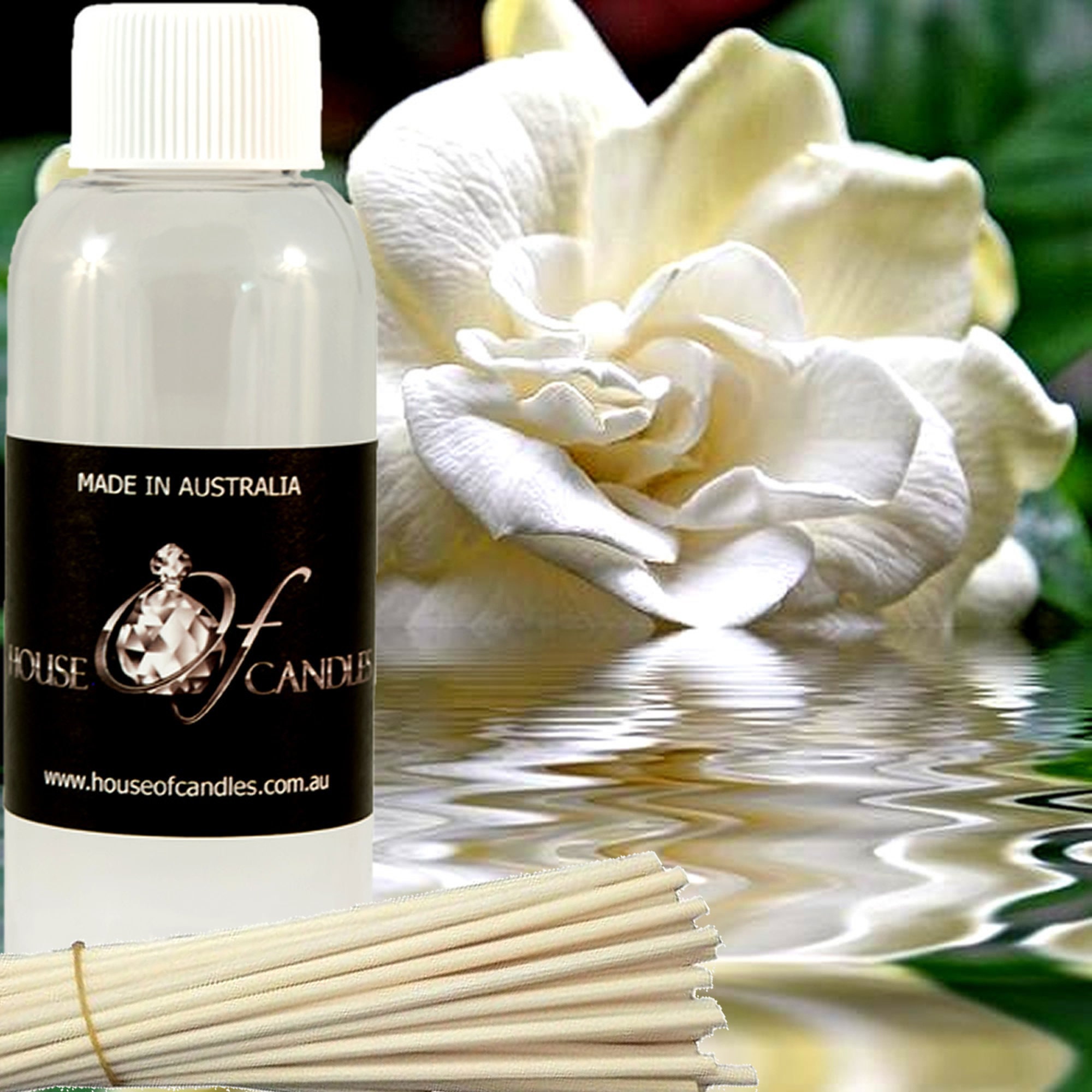  P&J Fragrance Oil Polynesian Set  Plumeria, Aloe, Pineapple,  Bamboo, Gardenia, Coconut Candle Scents for Candle Making, Freshie Scents,  Soap Making Supplies, Diffuser Oil Scents : Books