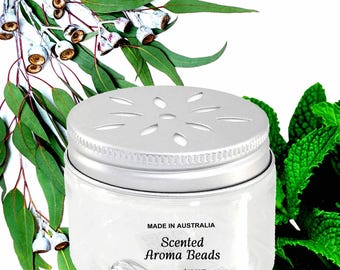 Eucalyptus en groene munt Luchtverfrisser Aromakralen - kamer/auto/dierenruimte/voorraadkast/linnen