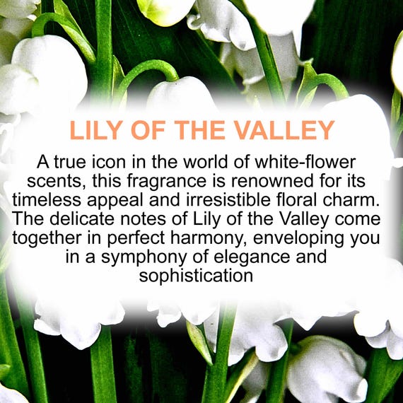 Lily Of The Valley Body Spray Mist Cruelty Free Vegan Alcohol-Free Perfume