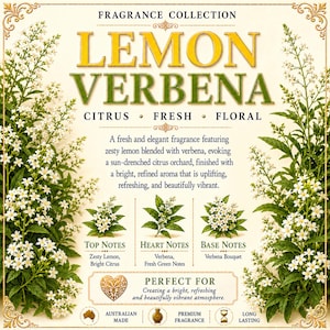 Pu&ograve; includere: Un'etichetta rettangolare intitolata FRAGRANCE COLLECTION LEMON VERBENA con illustrazioni di fiori bianchi e foglie verdi sui lati. Il testo include CITRUS, FRESH, FLORAL, TOP NOTES, HEART NOTES, BASE NOTES e AUSTRALIAN MADE.