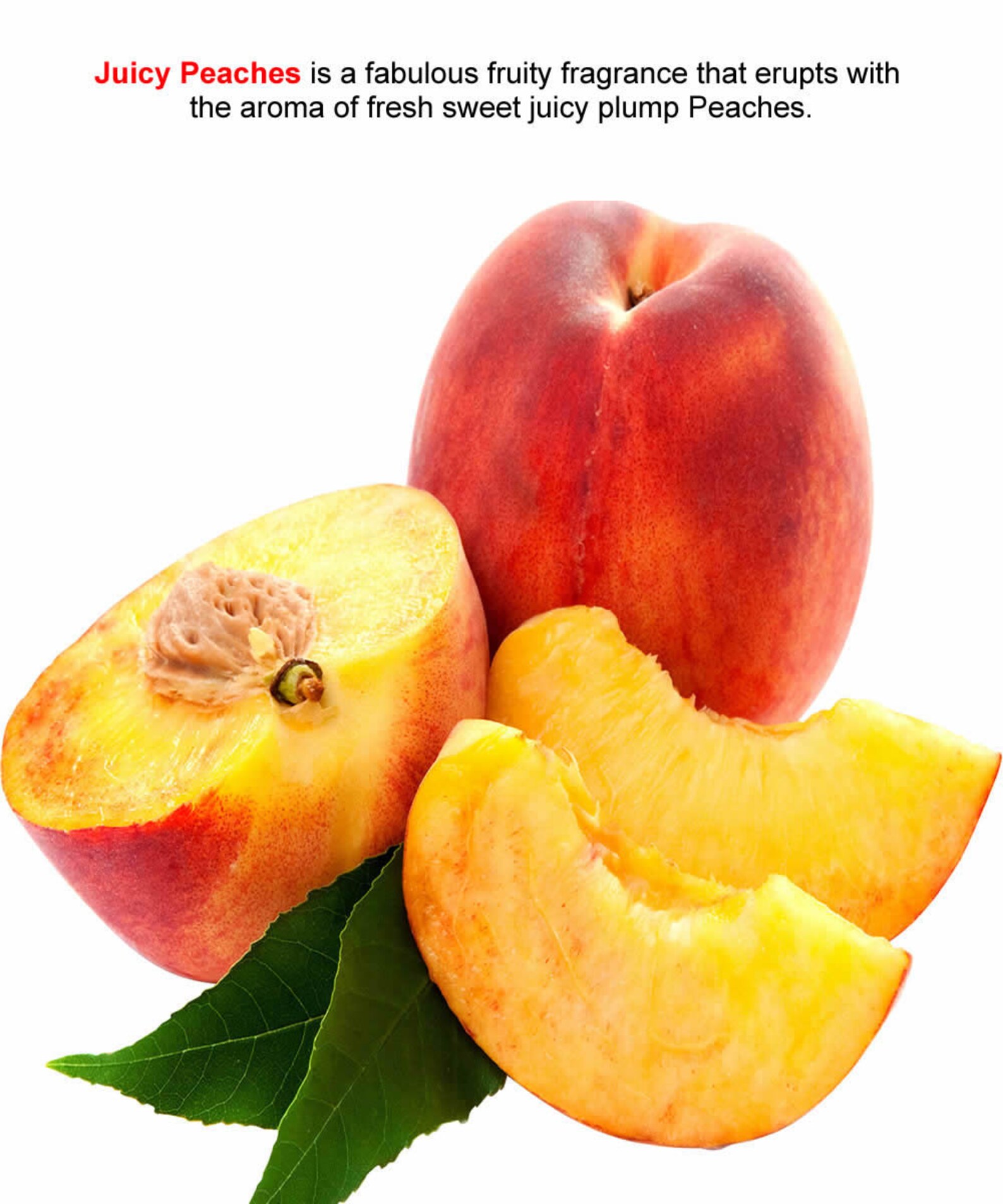 APRICOT PEACHES Perfume Roll On Fragrance Oil XStrong Etsy
