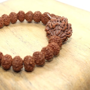7 mukhi Rudraksha Elastic Bracelet, 7 face Rudraksha Bracelet, Genuine Rudraksha Beads, Custom size available, Seven Face Shiva Rudraksh