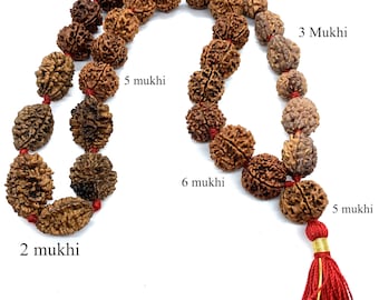 Genuine Rudraksha Mala – 2-6 Mukhi Beads, Long Tassel Necklace