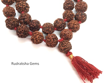 5 Facet Five Mukhi Rudraksha Mala -  Kantha Jupiter Siddha Mala 33+1 Nepalese Collector Rudrraksh Japa Beads - Meditation Shiva Rosary Rare