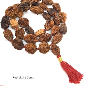 2 Mukhi Rudraksha Mala - Two Face Rudraksha Japa Mala  - Rudraksha Kantha Mala Necklace 32+1 Rudraksh Japa COLLECTOR BEADS OM - Meditation