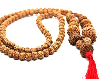 1 to 14 Mukhi Rudraksha, Collector Indonesian Beads Sidha Mala, Siddha Sidh Java Beads, Rudraksh Mala Necklace, Genuine Beads knotted mala