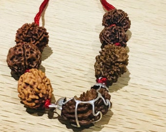 Rudraksh Rudraksha 1 2 3 4 5 6 7 Mukhi Beads Mala Necklace Wrist band bracelet -  Rudraksha Mala Neecklace - Genuine Beads in red cord OM