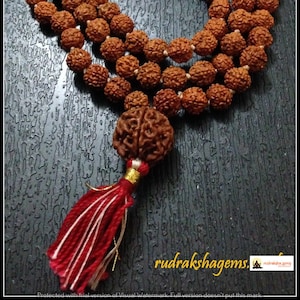 Rudraksha Mala 108 Beads Japa Rosary with Nepalese Rudraksh GURU 2 or 3 or 4 or 5 or 6 or 7 BEAD MUKHI Hand made premium mala Meditation afbeelding 1