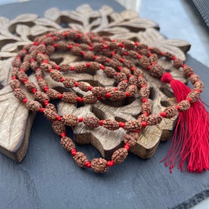 2 Mukhi Rudraksha Mala, 1081 Genuine Rudraksha beads, Long Tassel Mala, Beautiful Mala, Natural beads, Rudraksh Mala, Japa Prayer beads image 5