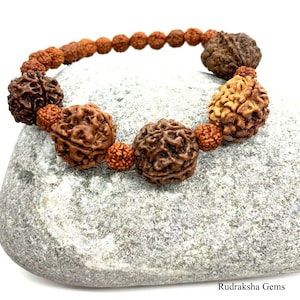Rudraksh Rudraksha 2 3 4 5 6 Mukhi Beads Mala Wrist band bracelet -  Rudraksha Bracelet - Genuine Beads -Custom Rudraksha Guru bead bracelet
