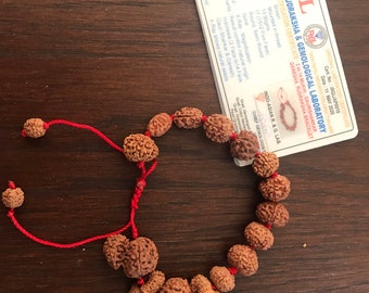 2 ～ 14 ムキ ルドラクシャ ガウリ シャンカール ガネーシャ