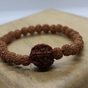 4 mukhi Rudraksha Bracelet , ALL 4 FACE Rudraksha BEADS Elastic Bracelet, Genuine Rudraksha Beads, Four Face Shiva Rudraksh, Spiritual