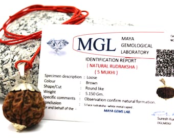 Certified 5 Mukhi Rudraksha Pendant, Silver Caps, Yoga Prayer Necklace