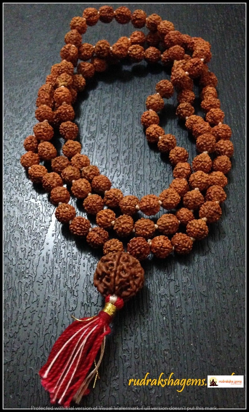 Rudraksha Mala 108 Beads Japa Rosary with Nepalese Rudraksh GURU 2 or 3 or 4 or 5 or 6 or 7 BEAD MUKHI Hand made premium mala Meditation afbeelding 1