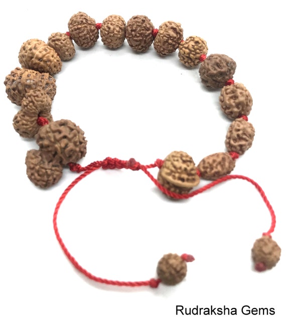 14 Mukhi Rudraksha Nepal Bracelet in Thread 30mm at Rudraksha-Gemstone