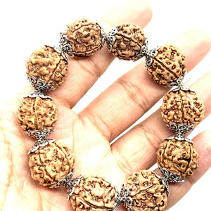5 MUKHI NEPALESE COLLECTOR 17 mm Rudraksha Seeds Beaded Elasticated Bracelet Elastic Wristband Mala Yoga Meditation Band Shiva Bracelet