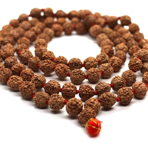 May include: A necklace of brown, textured beads, possibly seeds, threaded on a red cord. The spherical beads have a rough, natural look. A small red and gold tassel is at the end. The beads are arranged in a spiral against a white backdrop.