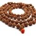 see more listings in the Rudraksha Mala's section
