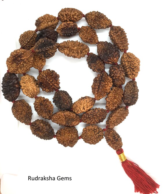 2 Mukhi Rudraksha Mala Two Face 