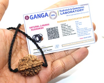 Certified 2 Mukhi Rudraksha Pendant, Hand-Braided Cord