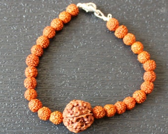 6 mukhi Rudraksha Bracciale, Bracciale Rudraksha a 6 facce, Perline Rudraksha originali, Dimensioni personalizzate disponibili, Sei facce Shiva Rudraksh, Spirituale