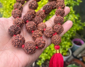 6 Mukhi Rudraksha Mala – Hand Knotted Kantha Japa Rosary