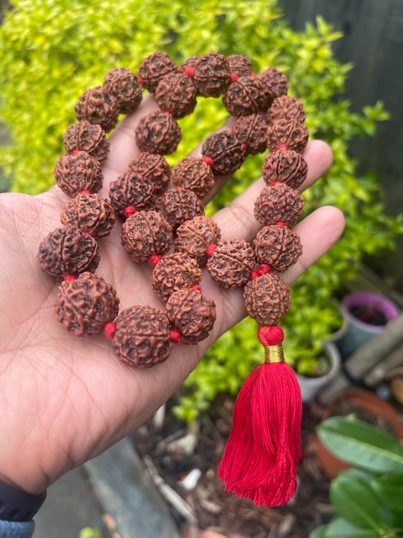 6 Mukhi Rudraksha Mala – Hand Knotted Kantha Japa Rosary