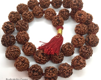 4 FOUR Mukhi Rudraksha Mala Brahma Kantha Siddha Mala 33+1 Collector Nepalese Beads - 4 Face Rudraksha Mala - Premium Rare  Rudraksha Beads