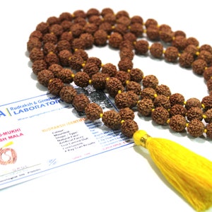 LAB CERTIFIED 108+1 Bead Indian Origin Rudraksha Mala 5 mukhi 5 faces Lord Shivas Rosary Jaap Mala Yoga Prayer Healing Meditation 8mm beads